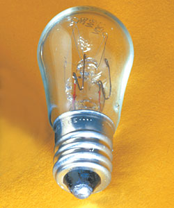 Pilot Light Bulb