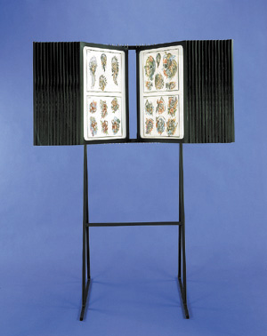 Flash Rack � 1 Tier Floor Unit  with Black Plastic Panels