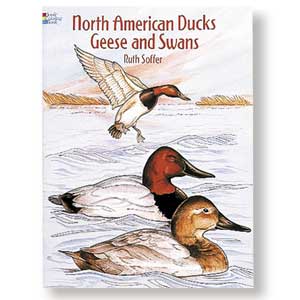 North American Ducks, Geese and Swans