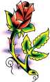 rose